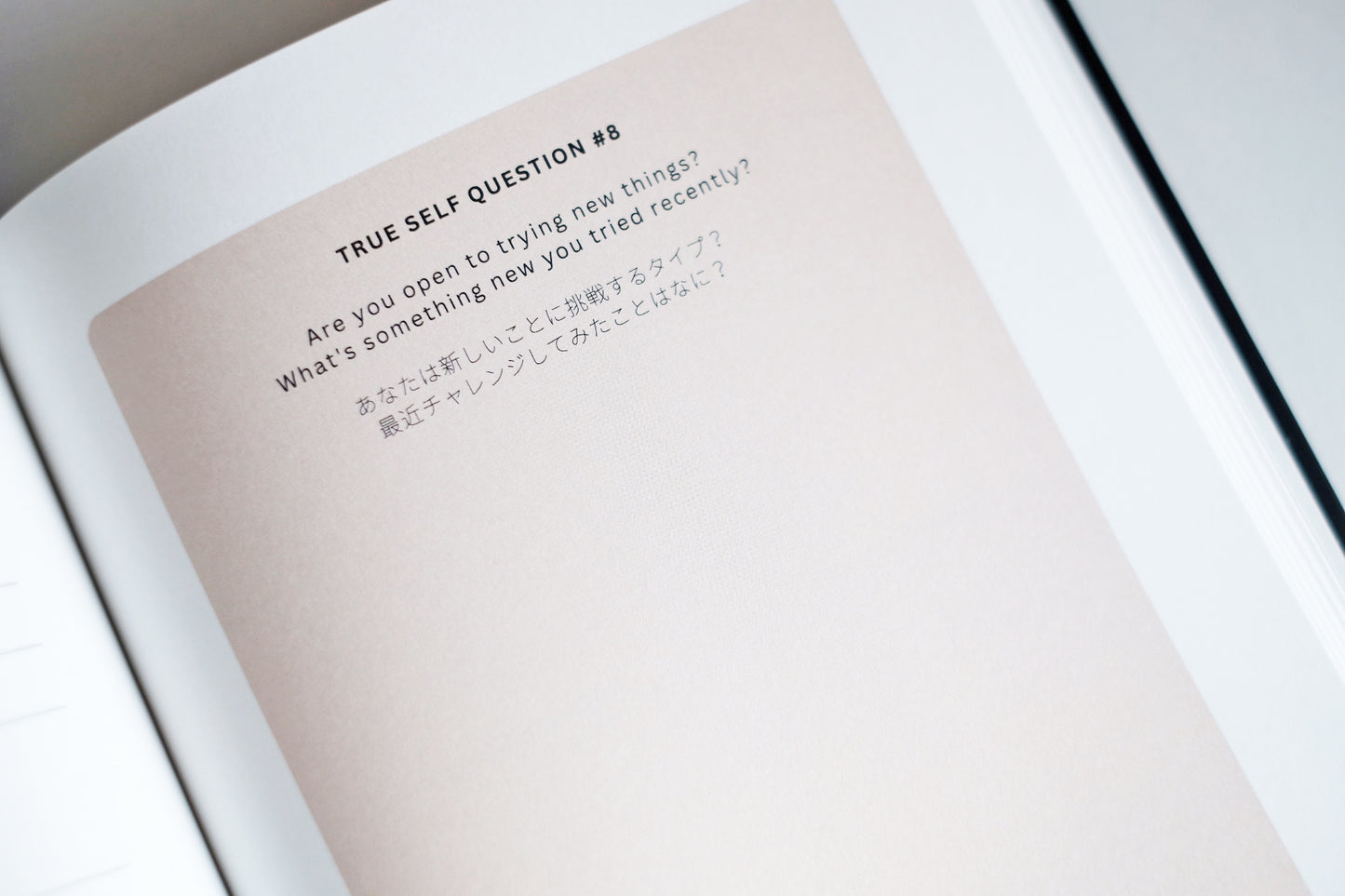 自分を探す「TRUE-SELF JOURNAL」(税込)